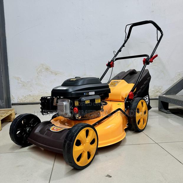 Gasoline Lawn Mower · Photo 1
