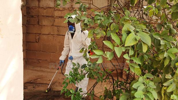 A1 Fumigation Services With Cleantex · Photo 1
