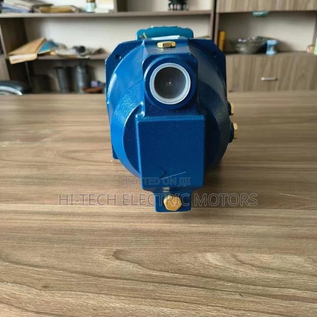 Original Chimp 2hp Water Pump · Photo 2