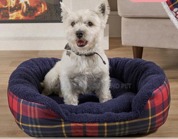 Rectangular Beds for Dogs and Cat · Photo 1