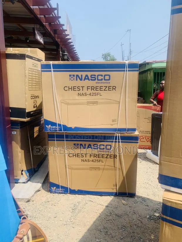 Best at Store Nasco 318L Chest NAS-425FL Energy-Efficient Deep Freezer · Photo 1