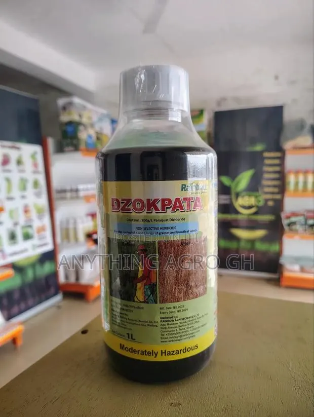 Dzokpata 1L · Photo 1