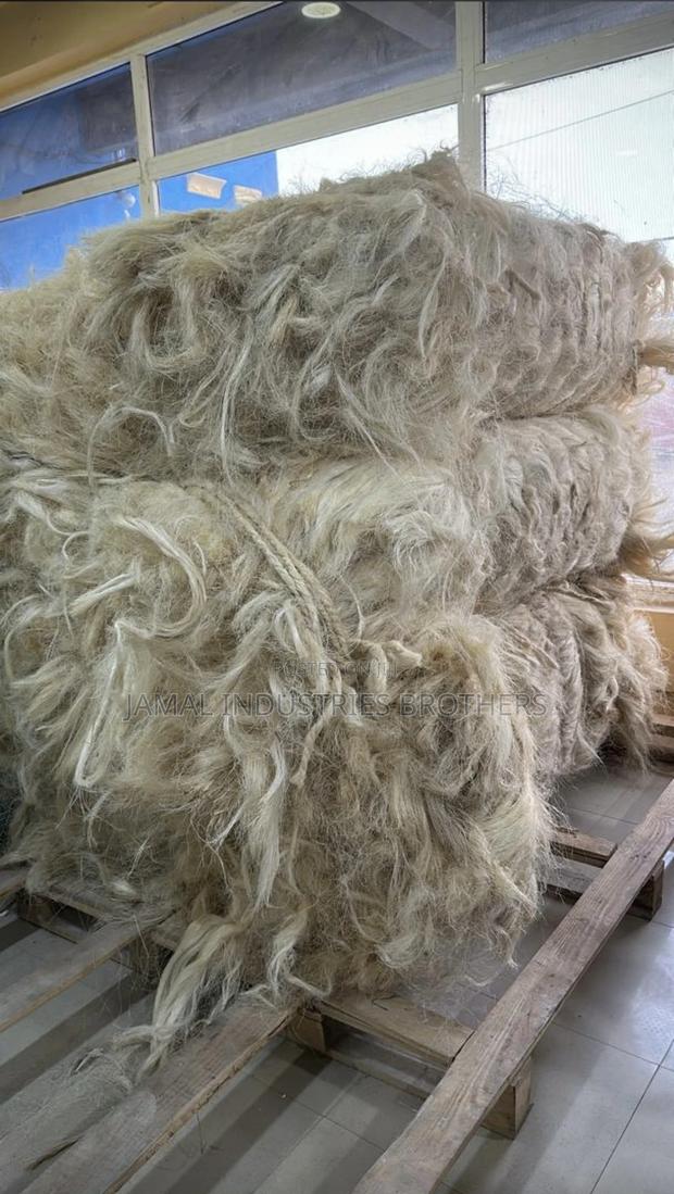 Fibre Long Pop Available · Photo 2