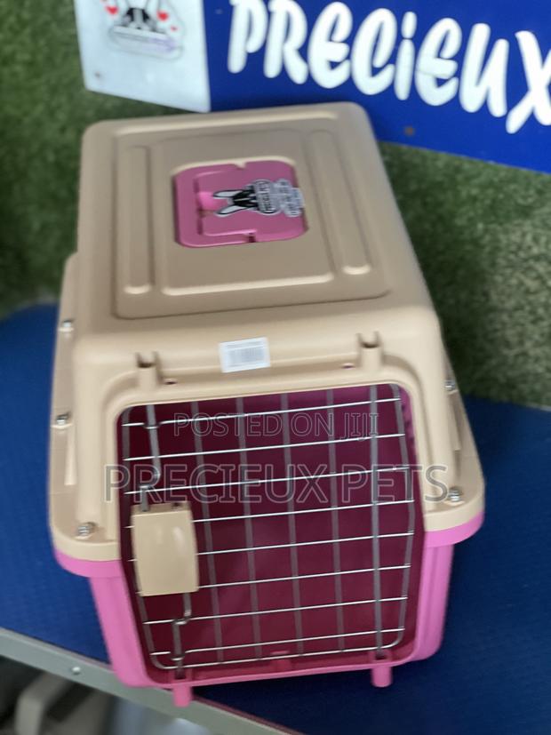 Plastic Crate / Cage / Courier 000100 · Photo 1