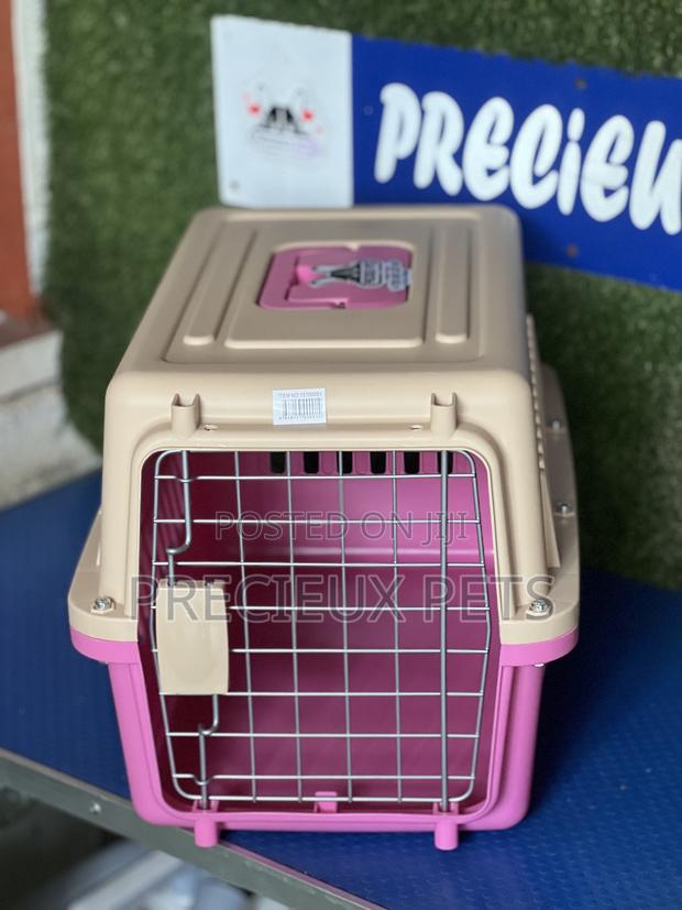 Plastic Crate / Cage / Courier 000100 · Photo 3