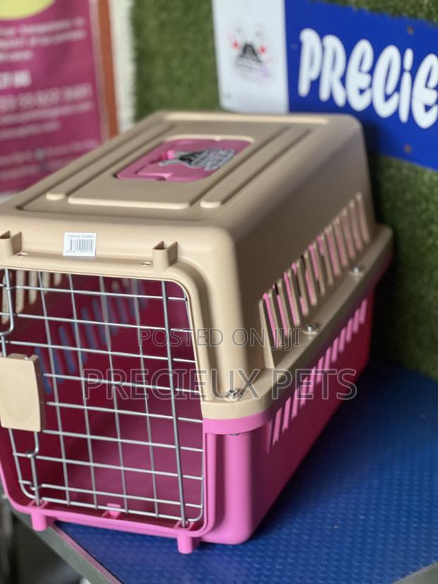 Plastic Crate / Cage / Courier 000100 · Photo 2