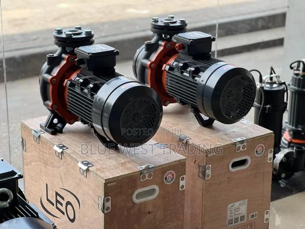 Leo Water Pump 10hp _ 10 Horsepower Water Pump · Photo 1