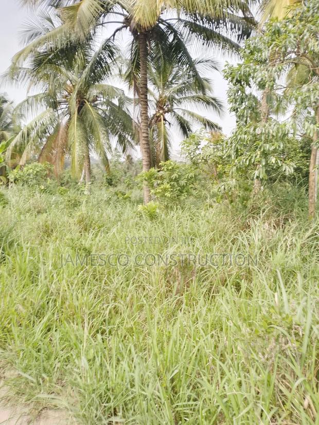 Registered 10,000 Of Farmland For Sale · Photo 1