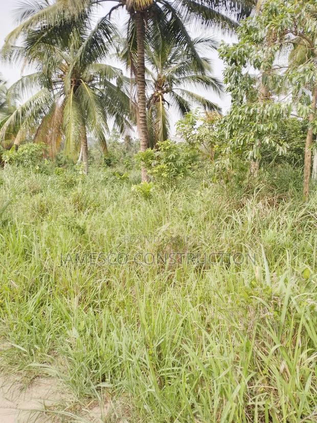 Registered 10,000 Of Farmland For Sale · Photo 2