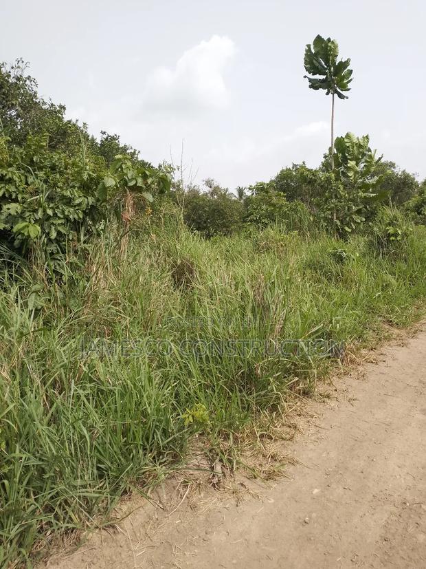 Registered 10,000 Of Farmland For Sale · Photo 3