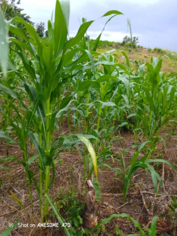 Registered 14,000 Acres of Farmland for Sale · Photo 2