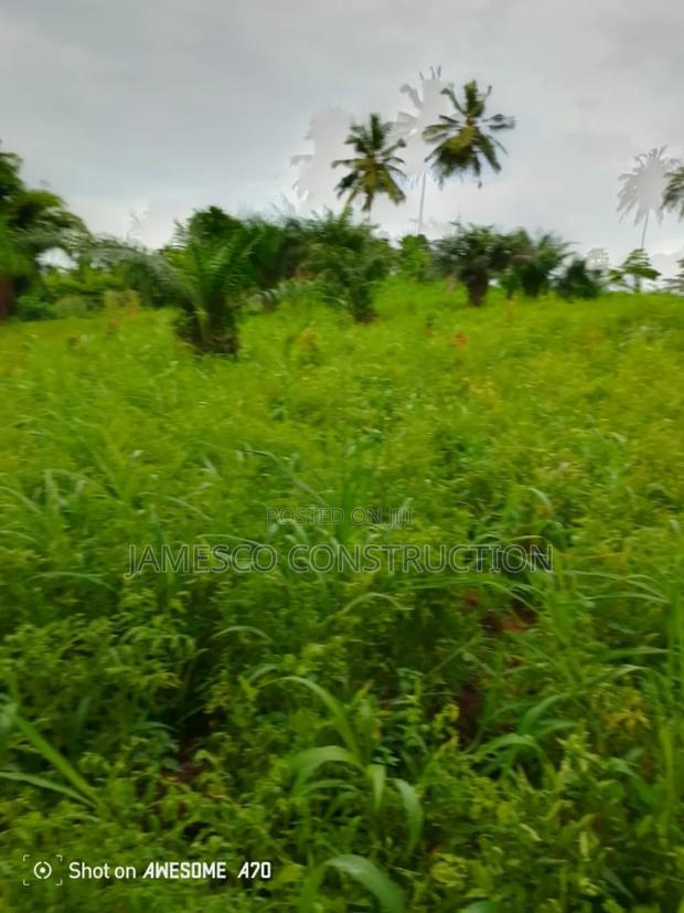 Registered 14,000 Acres of Farmland for Sale · Photo 3