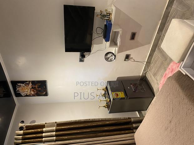 Furnished 1bdrm Apartment in Tseaddo for rent · Photo 5