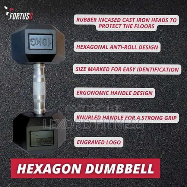 Hexagon Dumbbell 20kg (10kg Pair) · Photo 2