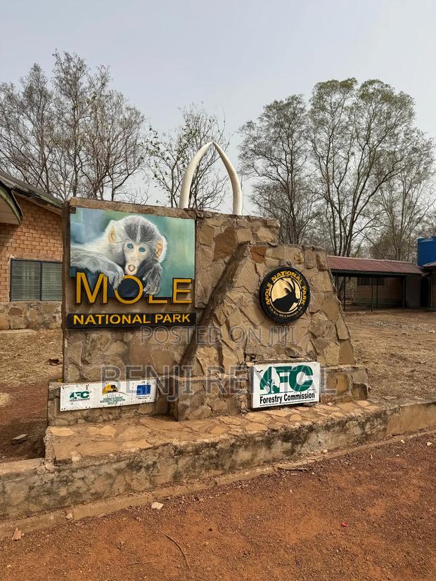 Tour To Mole National Park · Photo 2