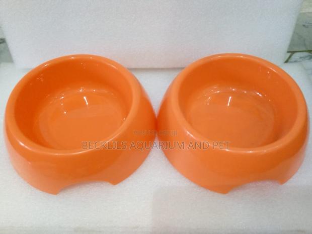 Orange Bowl for Dogs and Cat · Photo 1
