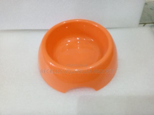 Plastic Blue Bowls for Dogs and Cat · Photo 2