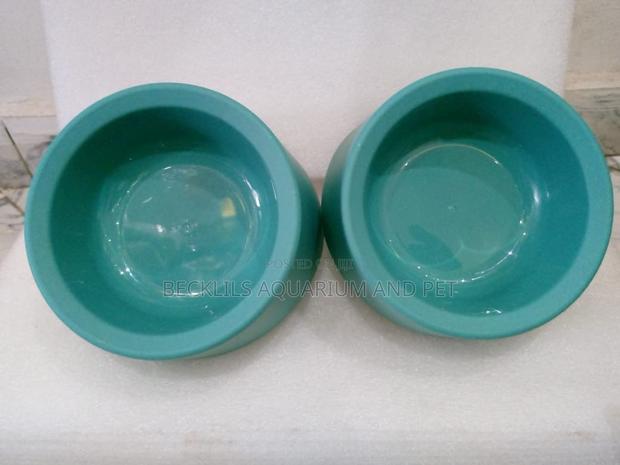 Plastic Blue Bowls for Dogs and Cat · Photo 1