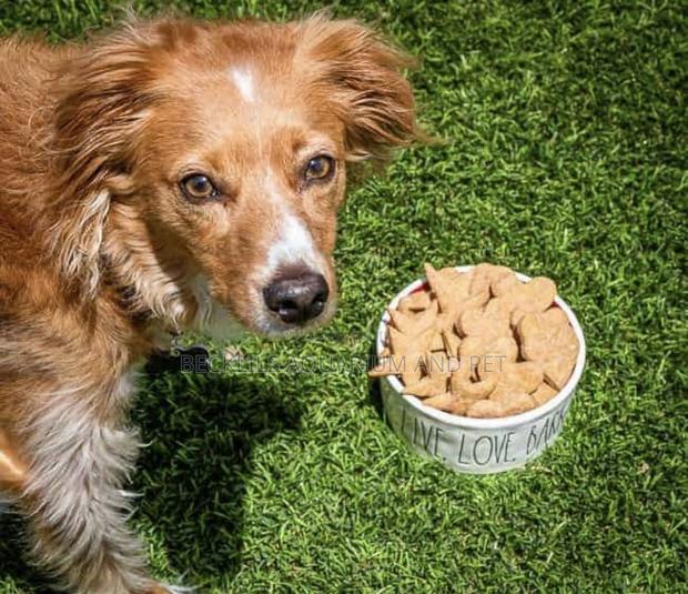 Dog Peanut Biscuits Treat · Photo 1