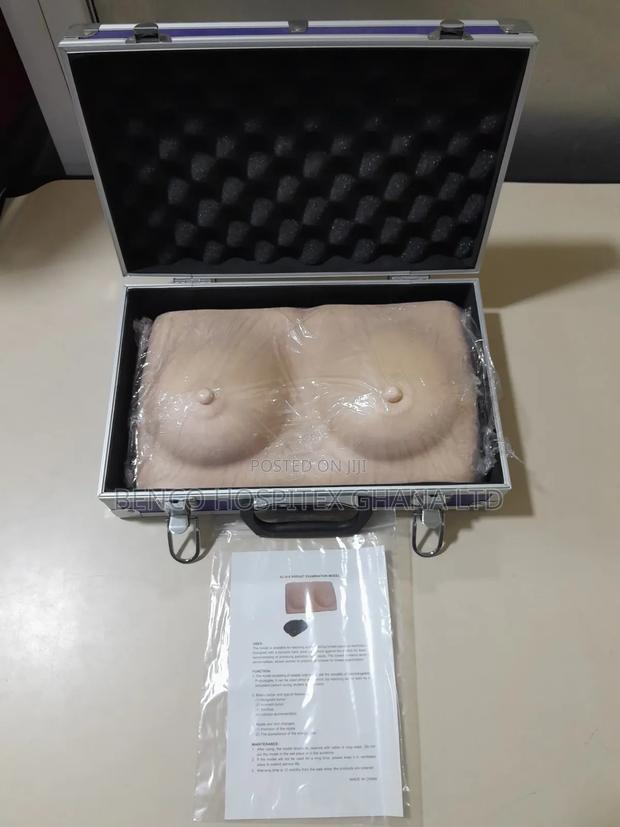 Breast Model · Photo 1