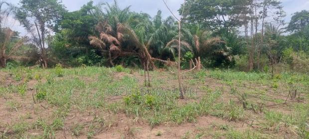 2 Plots of Land Located Behind Uncompleted SHS School · Photo 2