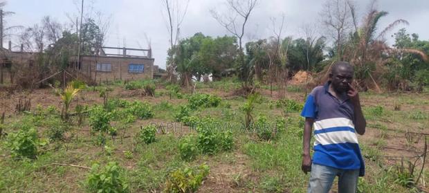 2 Plots of Land Located Behind Uncompleted SHS School · Photo 3