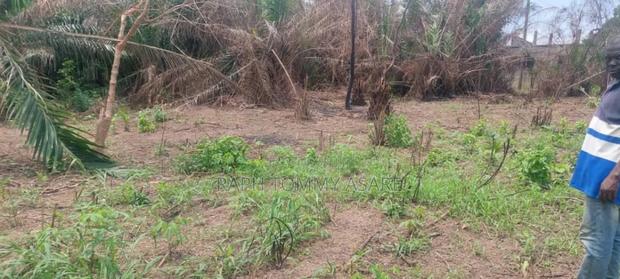 2 Plots of Land Located Behind Uncompleted SHS School · Photo 4