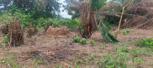 2 Plots of Land Located Behind Uncompleted SHS School · Photo 5