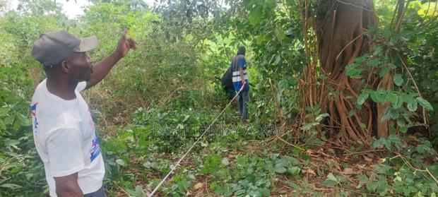 2 Plots of Land Located Behind Uncompleted SHS School · Photo 7