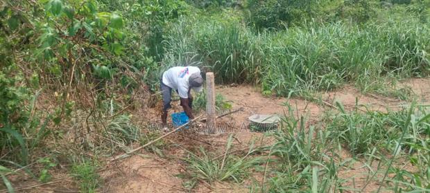 2 Plots of Land Located Behind Uncompleted SHS School · Photo 8