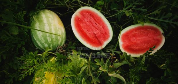 Sweet Water Melon · Photo 1