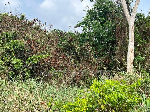 Land for Sale in Ejisu Besease · Photo 4