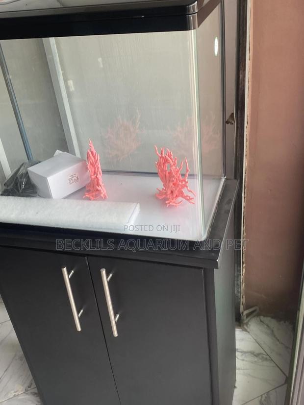 Package 2 Feet Aquarium Tank · Photo 2
