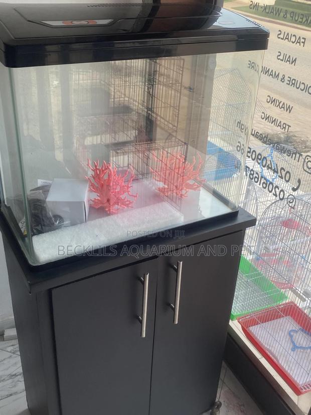 Package 2 Feet Aquarium Tank · Photo 1