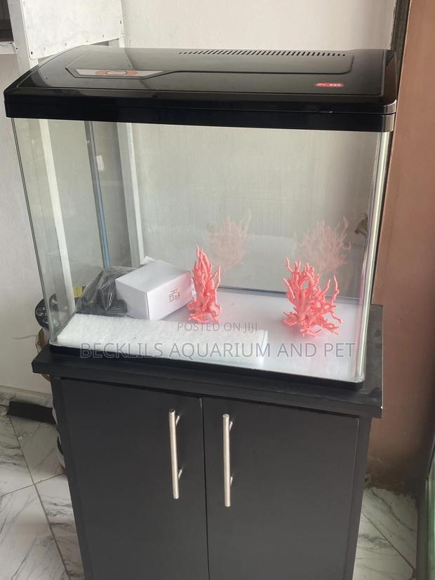 Package 2 Feet Aquarium Tank · Photo 3