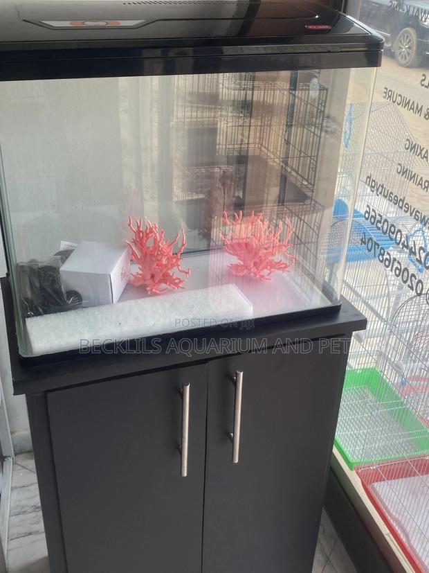 Package 2 Feet Aquarium Tank · Photo 5