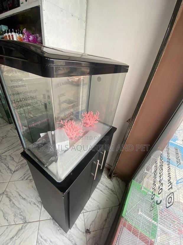 Package 2 Feet Aquarium Tank · Photo 4
