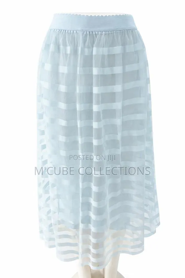 Light Blue Mesh Midi Skirt · Photo 1