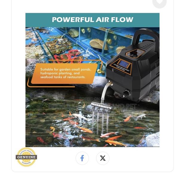In Built Battery Rechargeable Air Pump · Photo 2