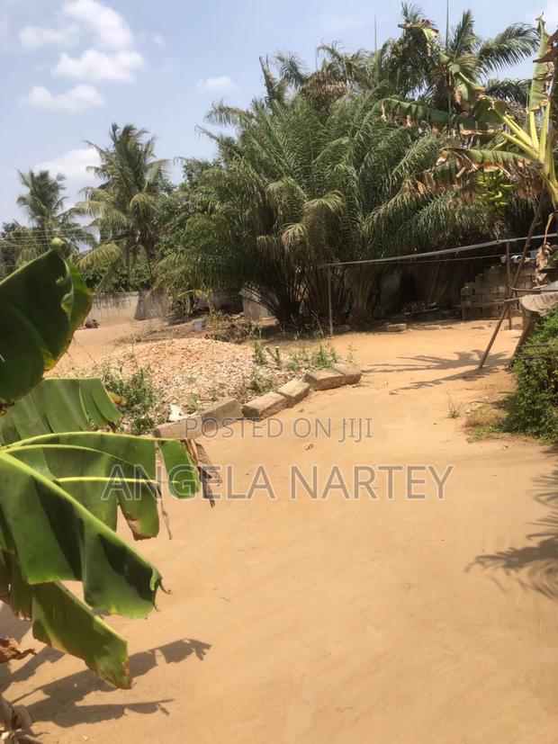 TDC Documented Land at Lashibi · Photo 2
