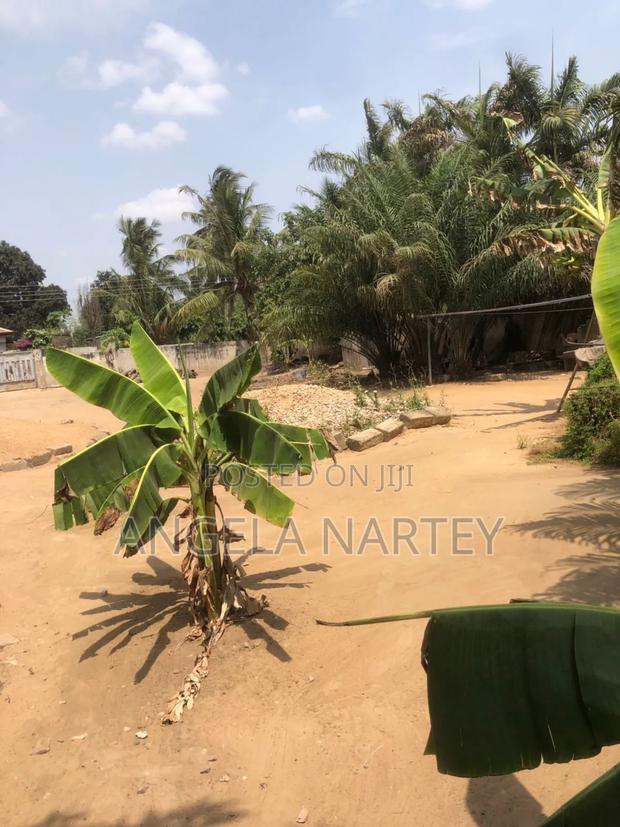TDC Documented Land at Lashibi · Photo 3