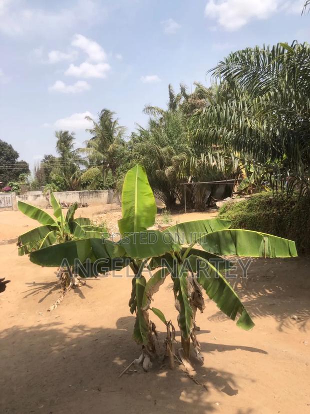 TDC Documented Land at Lashibi · Photo 4