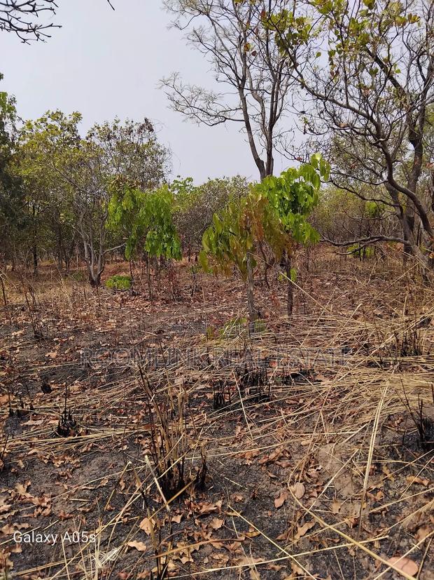 Farmland Available at Mankesim Not Far From Accra · Photo 2
