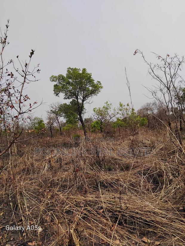 Farmland Available at Mankesim Not Far From Accra · Photo 3