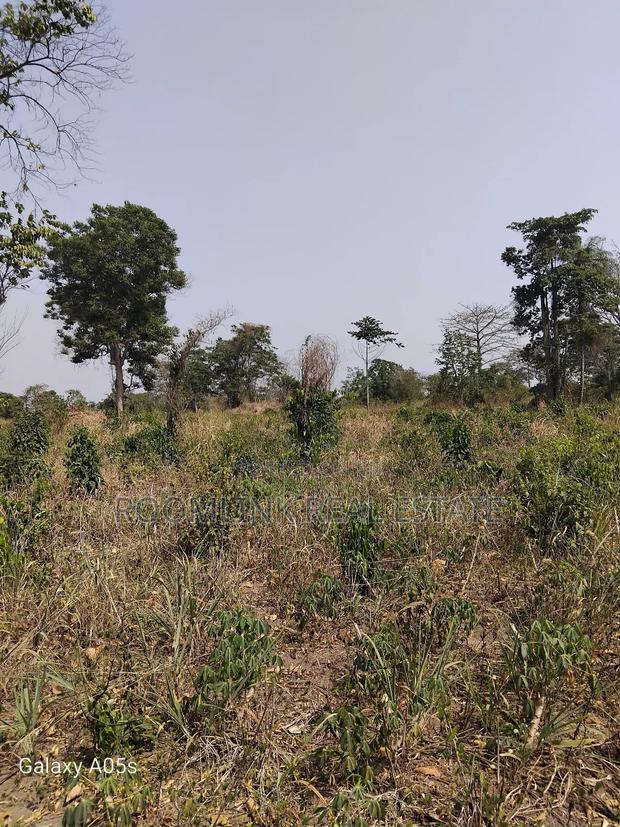 Farmland Available at Mankesim Not Far From Accra