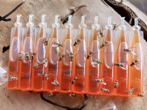 Fruitfly Pheromone Trap (Methyl Eugenol) · Photo 1