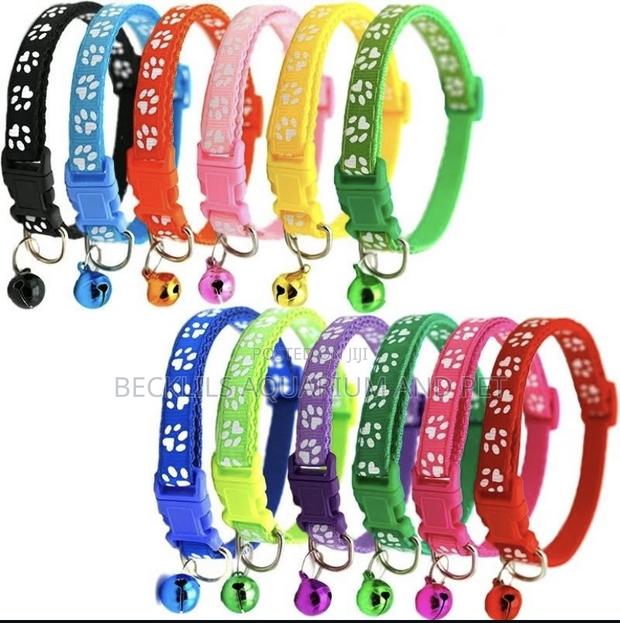 Adjustable Quality Dog N Cat Collars · Photo 1