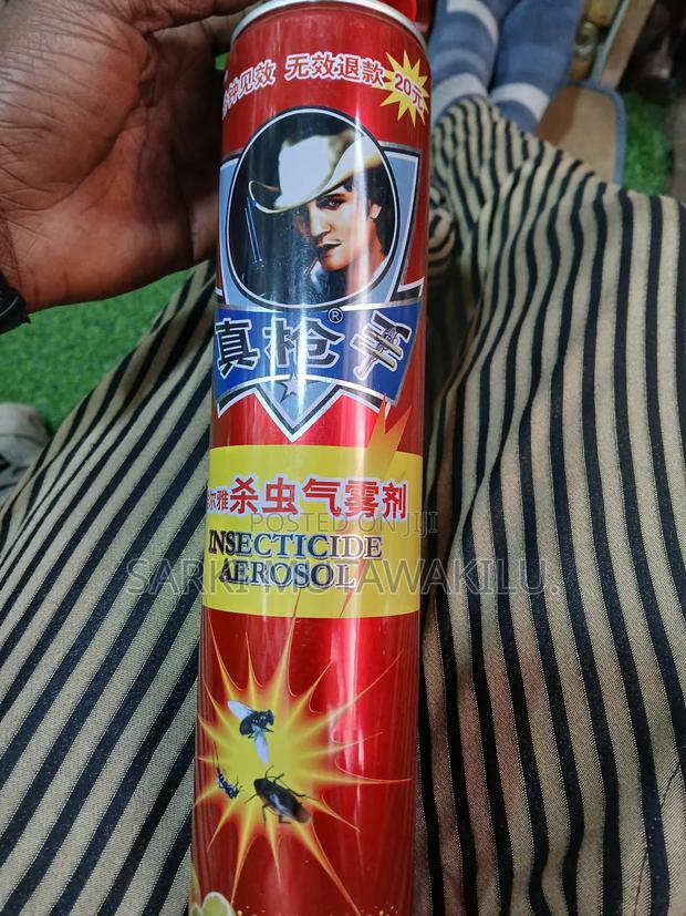 Aerosol Insecticide. · Photo 1