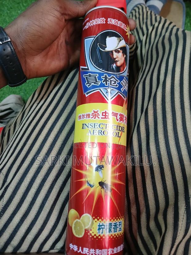 Aerosol Insecticide. · Photo 2