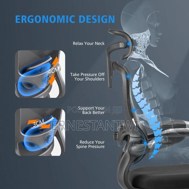 Ergonomic Luxury Mesh Chair From Ximstar, Uk · Photo 6